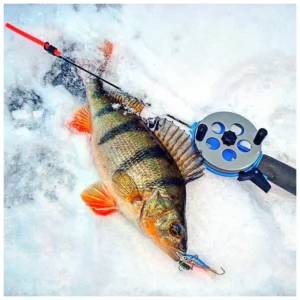 Балансир на окуня