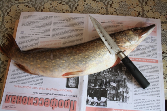 Как разделать щуку легко и быстро