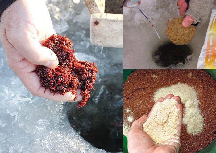 Приманки и прикормка для зимней плотвы