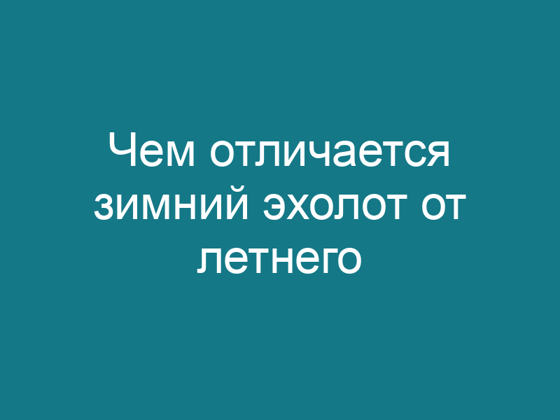 Чем отличается зимний эхолот от летнего