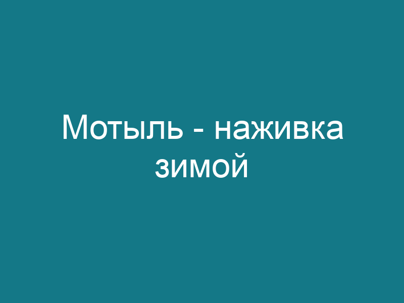 Мотыль — наживка зимой