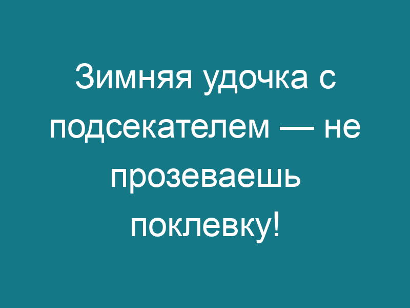 Зимняя удочка с подсекателем — не прозеваешь поклевку!