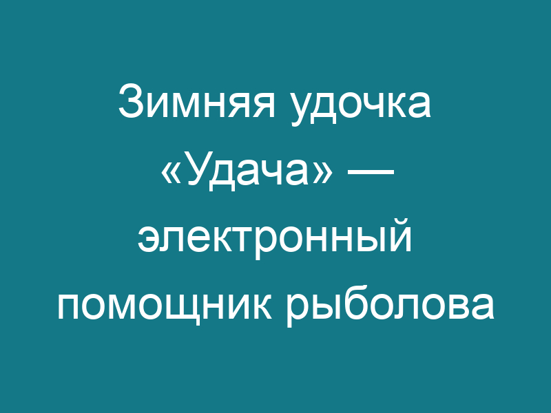 Зимняя удочка «Удача» — электронный помощник рыболова